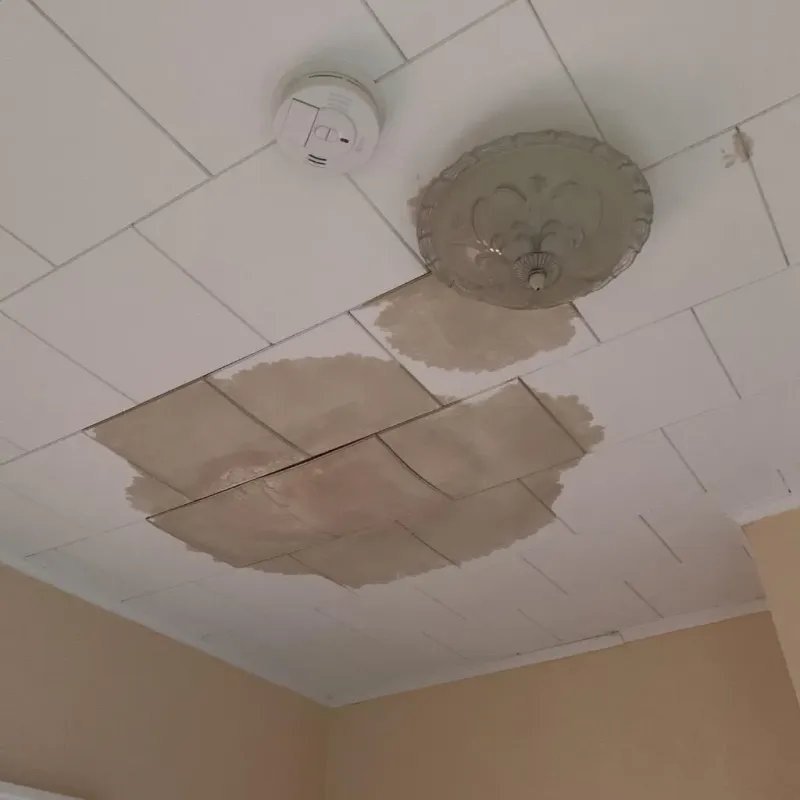 Ceiling Water Damage Repair in Bakersville, NC