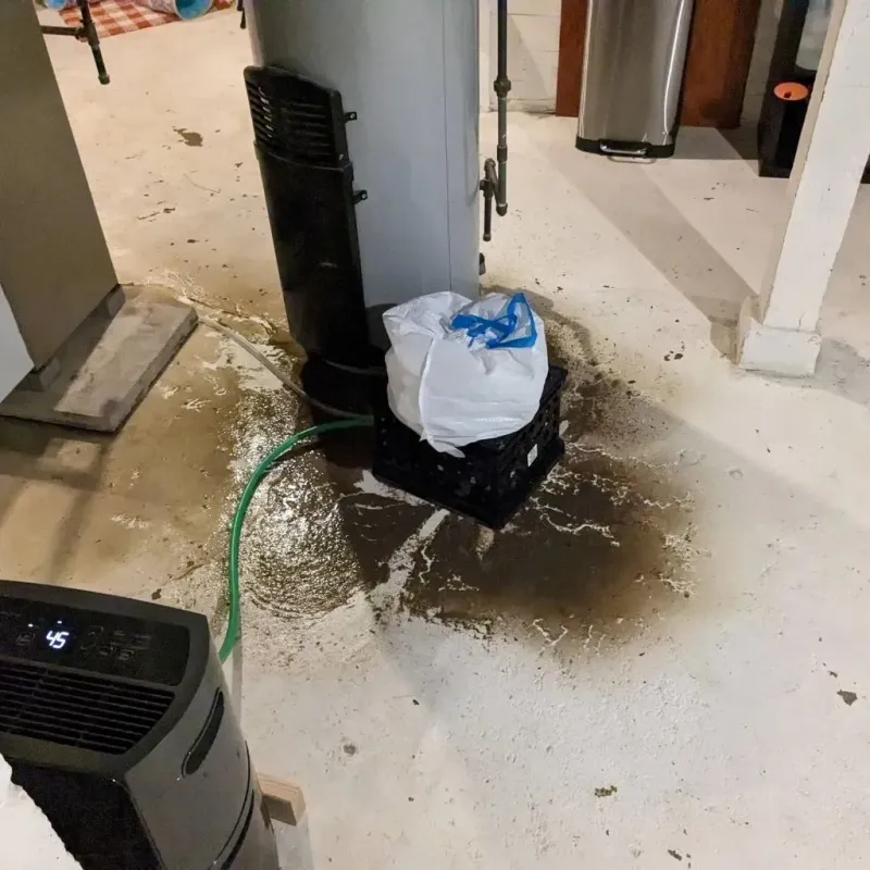Sewage Backup Cleanup Service in Bakersville, NC